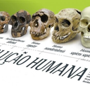 Evolução Segundo... A Bíblia?