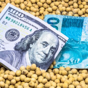 soybean money